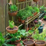 home & gardan