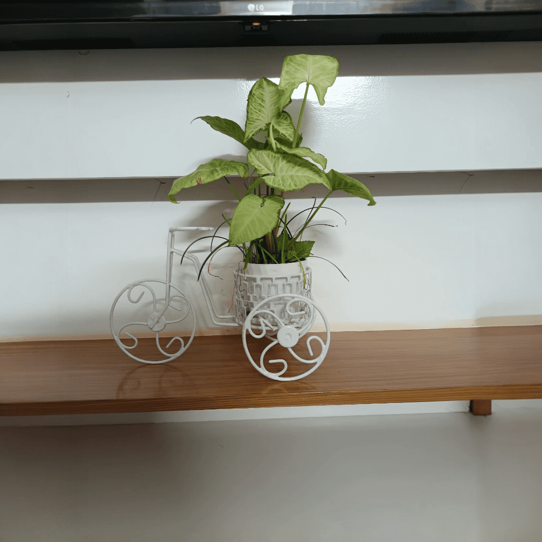 Home Decor Flower Stand - Image 1